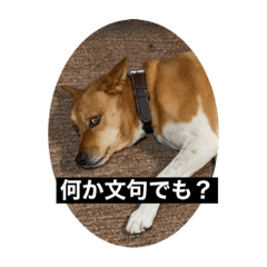 nao_20230226112011