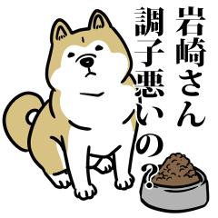岩崎リスペクト（プラチナ）