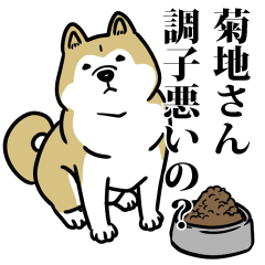 菊地リスペクト（プラチナ）
