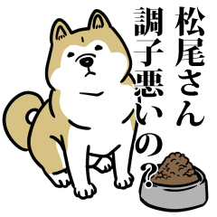 松尾リスペクト（プラチナ）