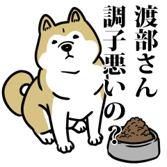 渡部リスペクト（プラチナ）