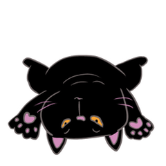 Black Cat Kuro1