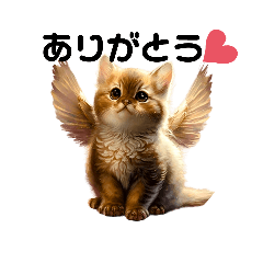 Cat Angel ①