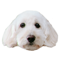 yukari_20230226145119