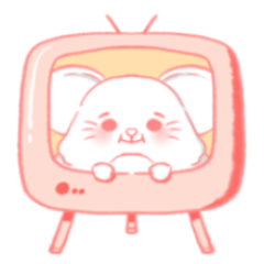BoBo : cutie chinchilla