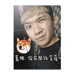 晚安小雞 粉絲製作