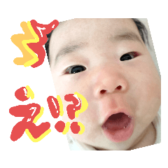 tommy_20230226160930