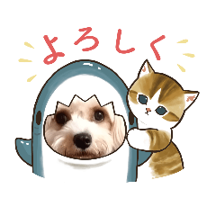 Hana_20230226164257
