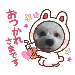 Hana_20230226164923