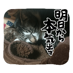 nao_20230226162450