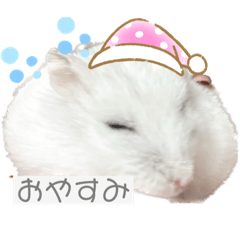 Kchan_20230227044356