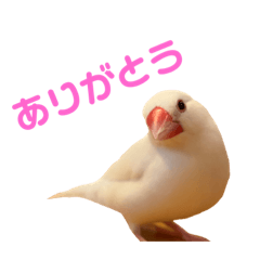 Saori_20230226185628