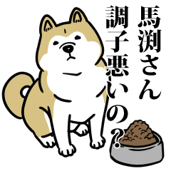 馬渕リスペクト（プラチナ）