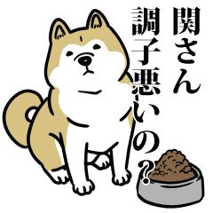 関リスペクト（プラチナ）