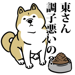 東リスペクト（プラチナ）