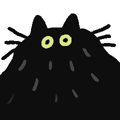 Black cat Bodi