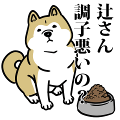 辻リスペクト（プラチナ）