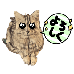 kasurenyanko