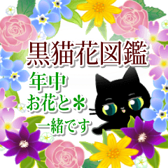 年中お花と一緒です☆黒猫花図鑑(改)