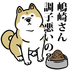 嶋崎リスペクト（プラチナ）
