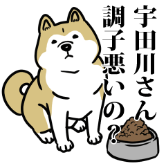 宇田川リスペクト（プラチナ）