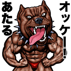 Ataru dedicated Muscle macho animal