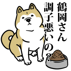 鶴岡リスペクト（プラチナ）