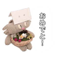 suzu_20230226182345