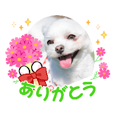 hana_20230226211052