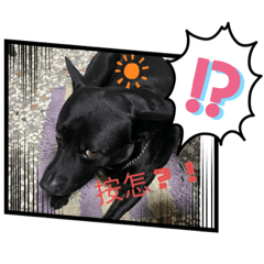 愛的眼神亮晶晶