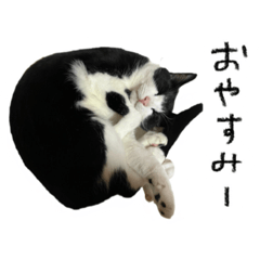 ymeee.m_20230226233306