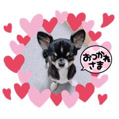 shiho_20230226220545