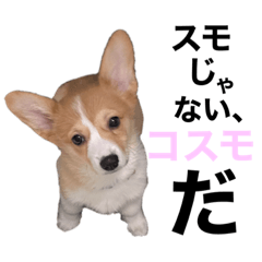 kosmo_20230226223510