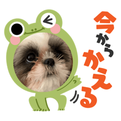 Kana_20230227112920
