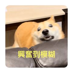 家柴萬貫