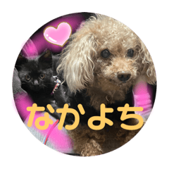 seatan_20230228023927