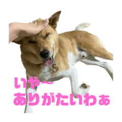 nao_20230227191907