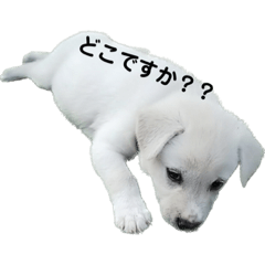 Mizuki_20230227173329