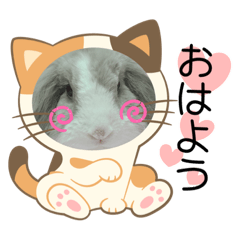 Kchan_20230227180729