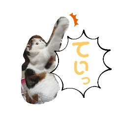 chisa_20230227192102