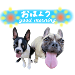 arisa_20230227213846