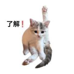 RIRIKA_20230227202512