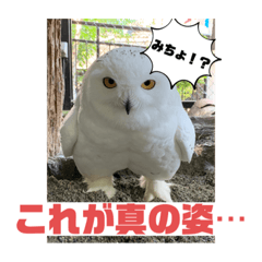 Kanze_20230228004023