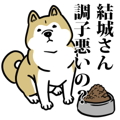 結城リスペクト（プラチナ）