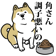 角リスペクト（プラチナ）