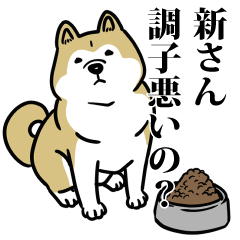 新リスペクト（プラチナ）
