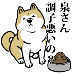 泉リスペクト（プラチナ）