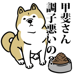 甲斐リスペクト（プラチナ）