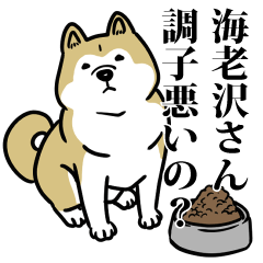 海老沢リスペクト（プラチナ）