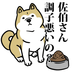 佐伯リスペクト（プラチナ）